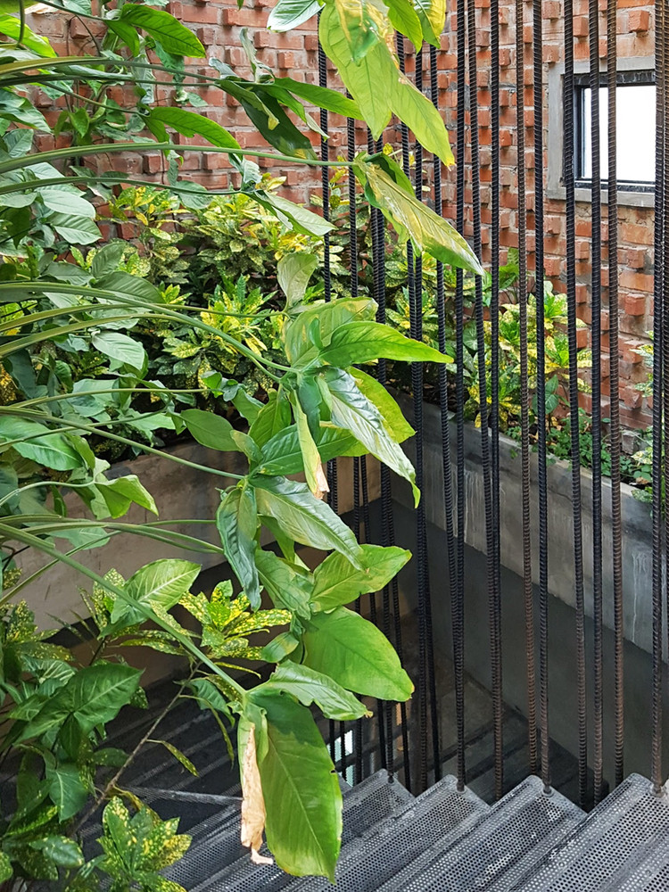 Giếng trời giúp không khí lưu thông và lấy sáng cho toàn bộ tòa nhà. Ảnh: Ngô Duy