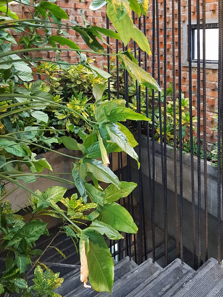 Giếng trời giúp không khí lưu thông và lấy sáng cho toàn bộ tòa nhà. Ảnh: Ngô Duy