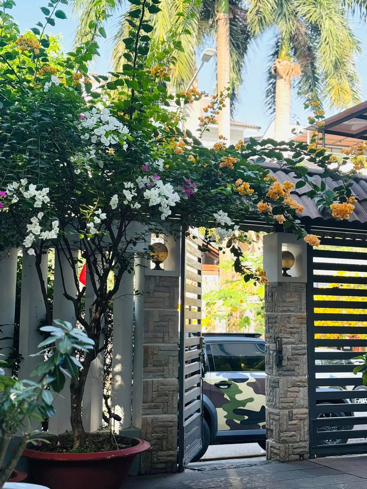 Trước cổng nhà của Ngọc Lan không quá cầu kỳ, ngập tràn sắc màu của giàn hoa giấy. Ảnh: FB Ngọc Lan Nguyễn