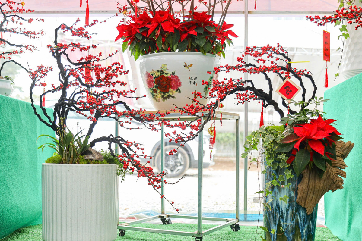 Mỗi cành đào như một tác phẩm nghệ thuật tinh xảo, mang đến một không gian Tết thật sự sang trọng và ấm cúng. . Ảnh: Khánh Huy