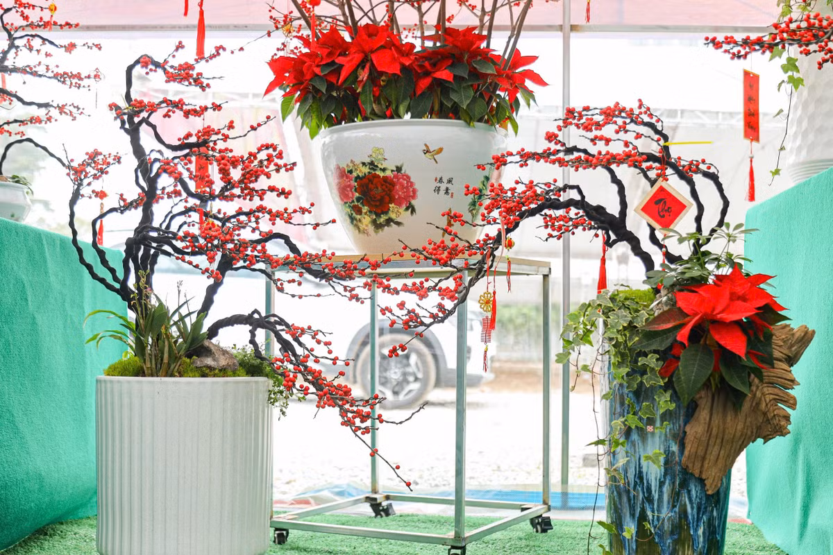 Mỗi cành đào như một tác phẩm nghệ thuật tinh xảo, mang đến một không gian Tết thật sự sang trọng và ấm cúng. . Ảnh: Khánh Huy