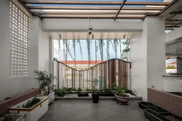 Tầng thượng được gia chủ tận dụng để trồng rau sạch. Ảnh: Architizer
