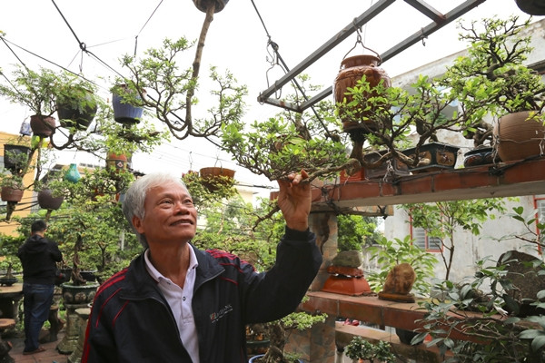 Ông Lê Thạnh (SN 1963) ở thành phố Tam Kỳ, tỉnh Quảng Nam, không chỉ yêu cây cảnh mà còn là người tiên phong trong việc phát triển phong cách bonsai ngược đầy sáng tạo. Ảnh: Tiền phong