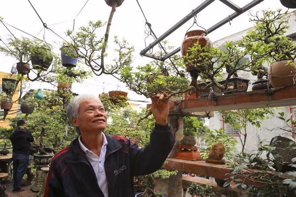 Ông Lê Thạnh (SN 1963) ở thành phố Tam Kỳ, tỉnh Quảng Nam, không chỉ yêu cây cảnh mà còn là người tiên phong trong việc phát triển phong cách bonsai ngược đầy sáng tạo. Ảnh: Tiền phong
