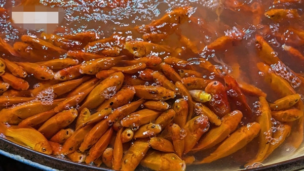 Cá chép đỏ với kích cỡ được chuẩn bị phục vụ nhu cầu dịp lễ ông Công, ông Táo. Ảnh: VOV