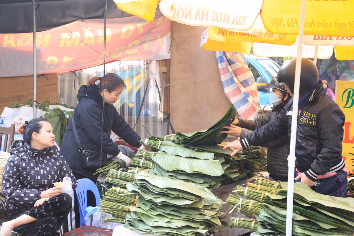 Theo kinh nghiệm của các tiểu thương, để chiếc bánh chưng có màu xanh tự nhiên cần chọn những loại lá dong có độ dai tốt, có màu sắc xanh đậm, phiến lá to vừa phải để có thể gói trọn được phần nhân bên trong. Ảnh: Khánh Huy