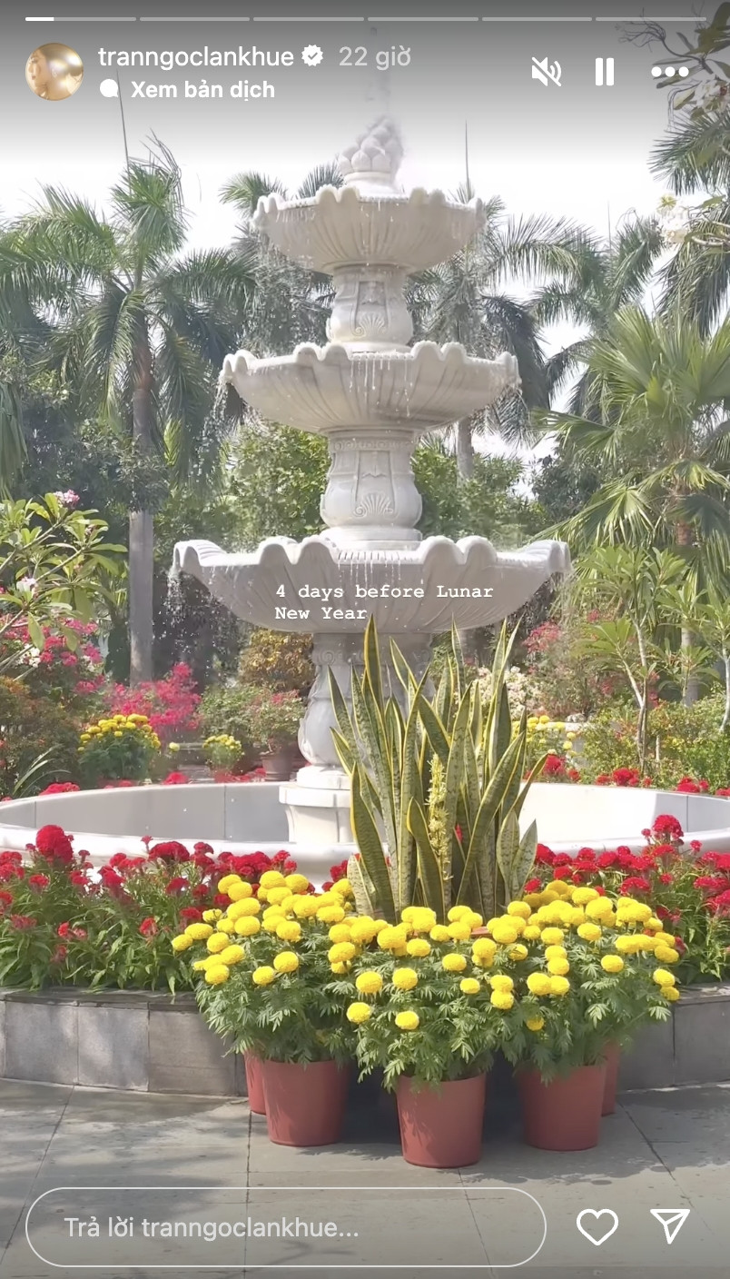 Tại khoảng sân trước nhà, vợ chồng Lan Khuê sắm hàng chục chậu cúc mâm xôi và cúc vạn thọ bày trí xung quanh. Khu vực đài phun nước được bao quanh bởi những chậu hoa mào gà đỏ rực. Ảnh: FBNV