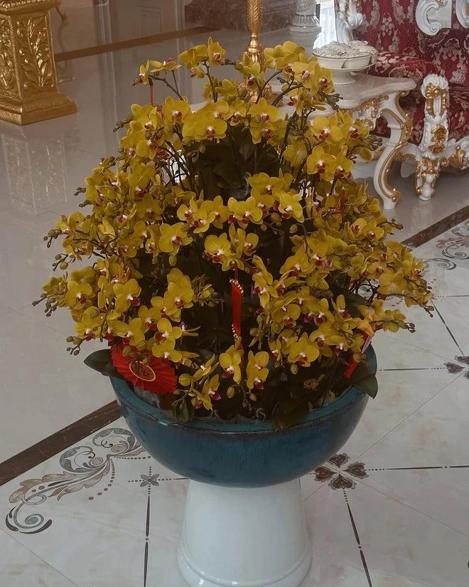 Bên trong biệt thự của Lan Khuê rực rỡ với chậu lan màu vàng bắt mắt. Ảnh: FBNV