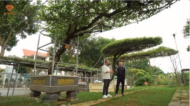 Thích gần gũi với thiên nhiên, gia chủ còn thiết kế nhiều khoảng để trồng cây, trưng bày cây bonsai xung quanh nhà. Ảnh chụp màn hình NhaTo