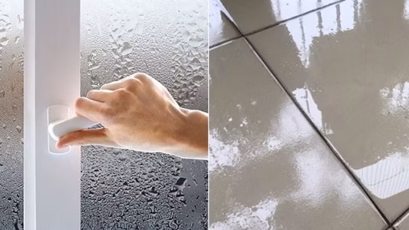 Hiện tượng nồm ẩm xảy ra khi khi nhiệt độ bề mặt các bề mặt trong nhà thấp hơn nhiệt độ của không khí, tạo điều kiện cho hơi nước ngưng tụ. Ảnh: Internet