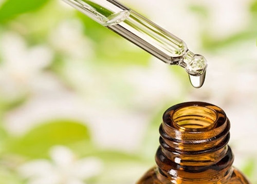 Sự khan hiếm và chất lượng vượt trội đã khiến tinh dầu gù hương trở thành một mặt hàng vô cùng quý giá. Ảnh: Internet