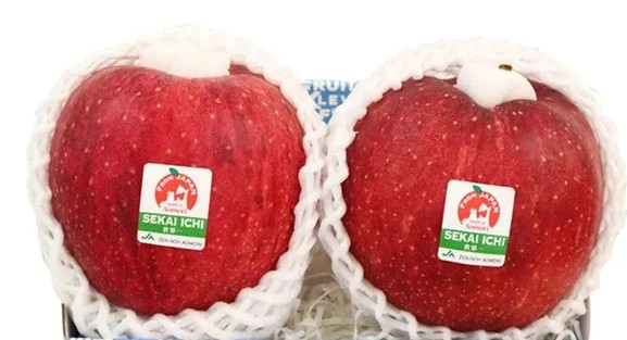  Táo Sekai Ichi là một trong những giống táo đắt đỏ trên thị trường hoa quả nhập khẩu tại Việt Nam với giá bán khoảng 750.000 đồng/kg. Ảnh: Kleverfruits
