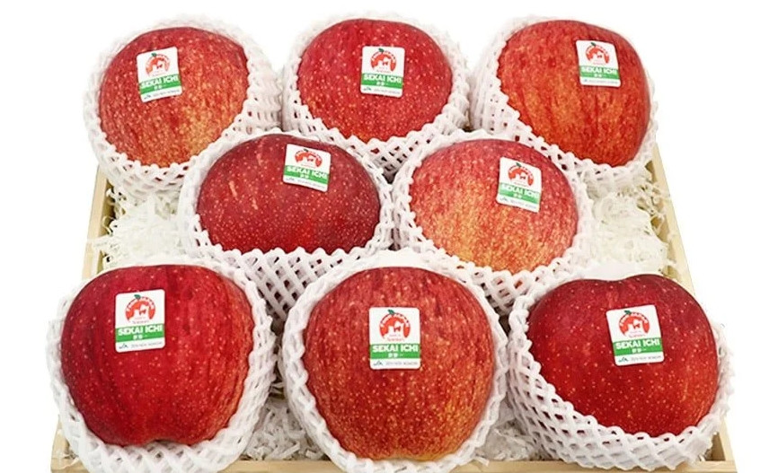Như vậy, ước tính mỗi quả táo Sekai Ichi giá từ nửa triệu đồng trở lên. Ảnh: Kleverfruits