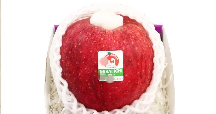 Táo Sekai Ichi kích thước lớn, đường kính trung bình từ 11 - 46 cm và hình dạng đồng nhất, tròn đến hơi hình nón. Ảnh: Kleverfruits