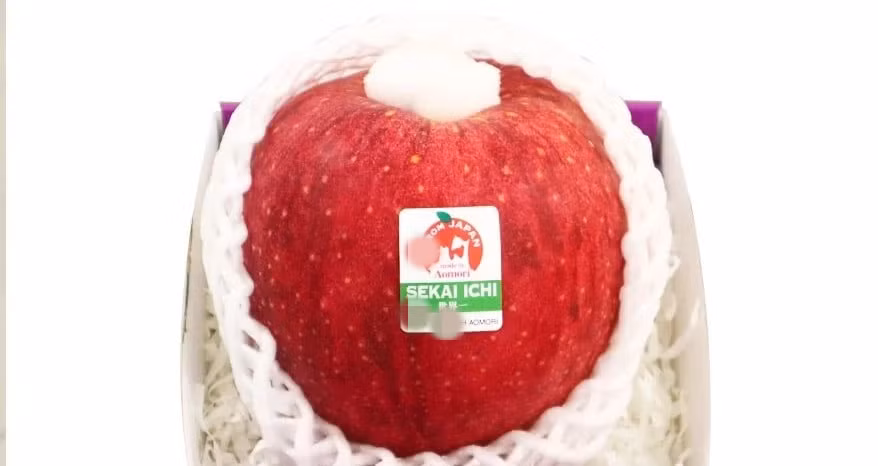 Táo Sekai Ichi kích thước lớn, đường kính trung bình từ 11 - 46 cm và hình dạng đồng nhất, tròn đến hơi hình nón. Ảnh: Kleverfruits