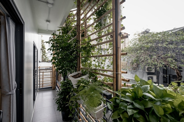 Ban công trở thành không gian đệm, giúp cách nhiệt, lọc bụi, cản tiếng ồn cho các phòng chức năng. Ảnh: Lưu Quốc Thịnh