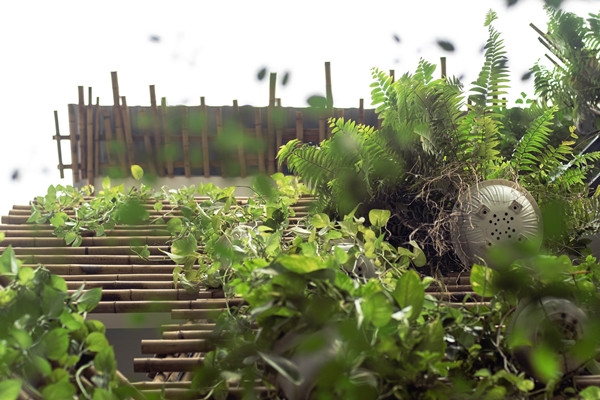 Những góc xanh mướt mắt. Ảnh: Lưu Quốc Thịnh