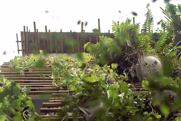 Những góc xanh mướt mắt. Ảnh: Lưu Quốc Thịnh