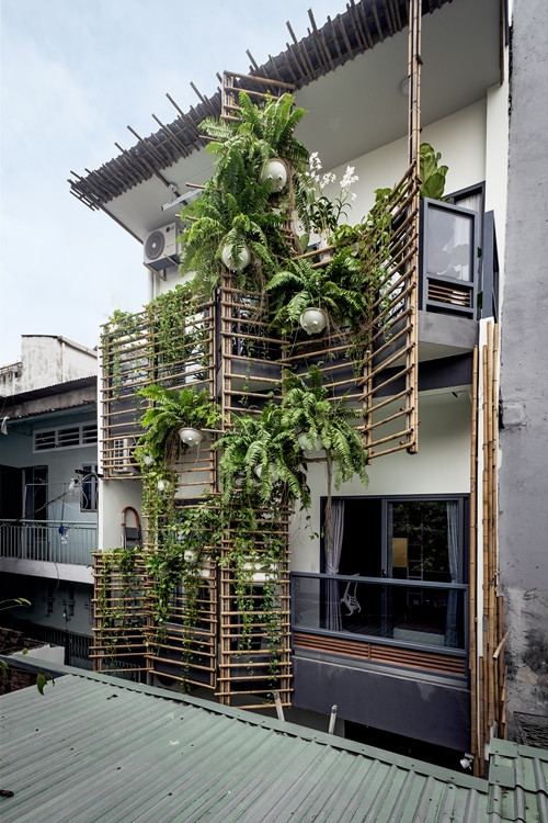 Mặt tiền được thiết kế với hệ giàn dây leo và cây xanh. Ảnh: Lưu Quốc Thịnh