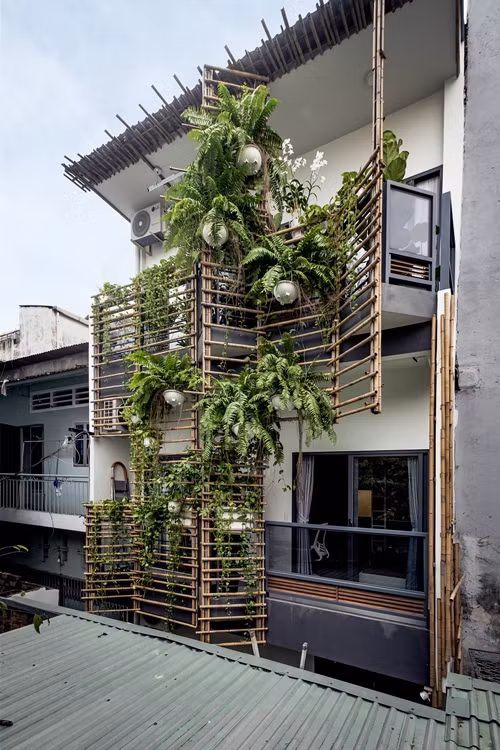 Mặt tiền được thiết kế với hệ giàn dây leo và cây xanh. Ảnh: Lưu Quốc Thịnh