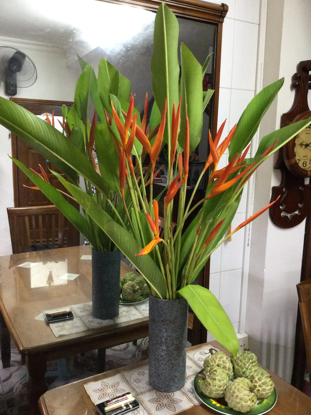 Hoa thiên điểu nổi bật với vẻ đẹp thanh thoát và dáng hình độc đáo. Ảnh: FB Nguyễn Minh Vượng