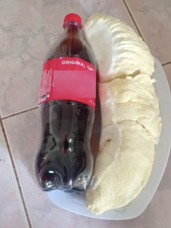 Khi bổ ra, múi sầu riêng có kích thước ngang ngửa 1 chai nước ngọt dung tích 1,5 lít. Ảnh: TikTok