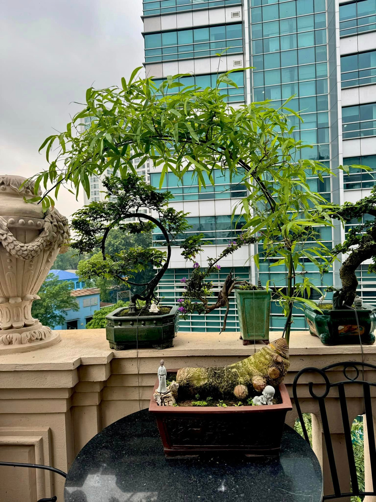 Nhưng gần đây, các nghệ nhân yêu cây cảnh đã “biến hóa” gốc tre thân thuộc thành chậu cây bonsai nghệ thuật. Ảnh: FB Dương Chương