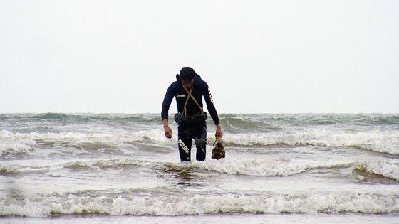 Rum biển có quanh năm nhưng từ đầu tháng hai cho đến tháng 6 là khoảng thời gian thích hợp để lặn rum. Ảnh: Saostar