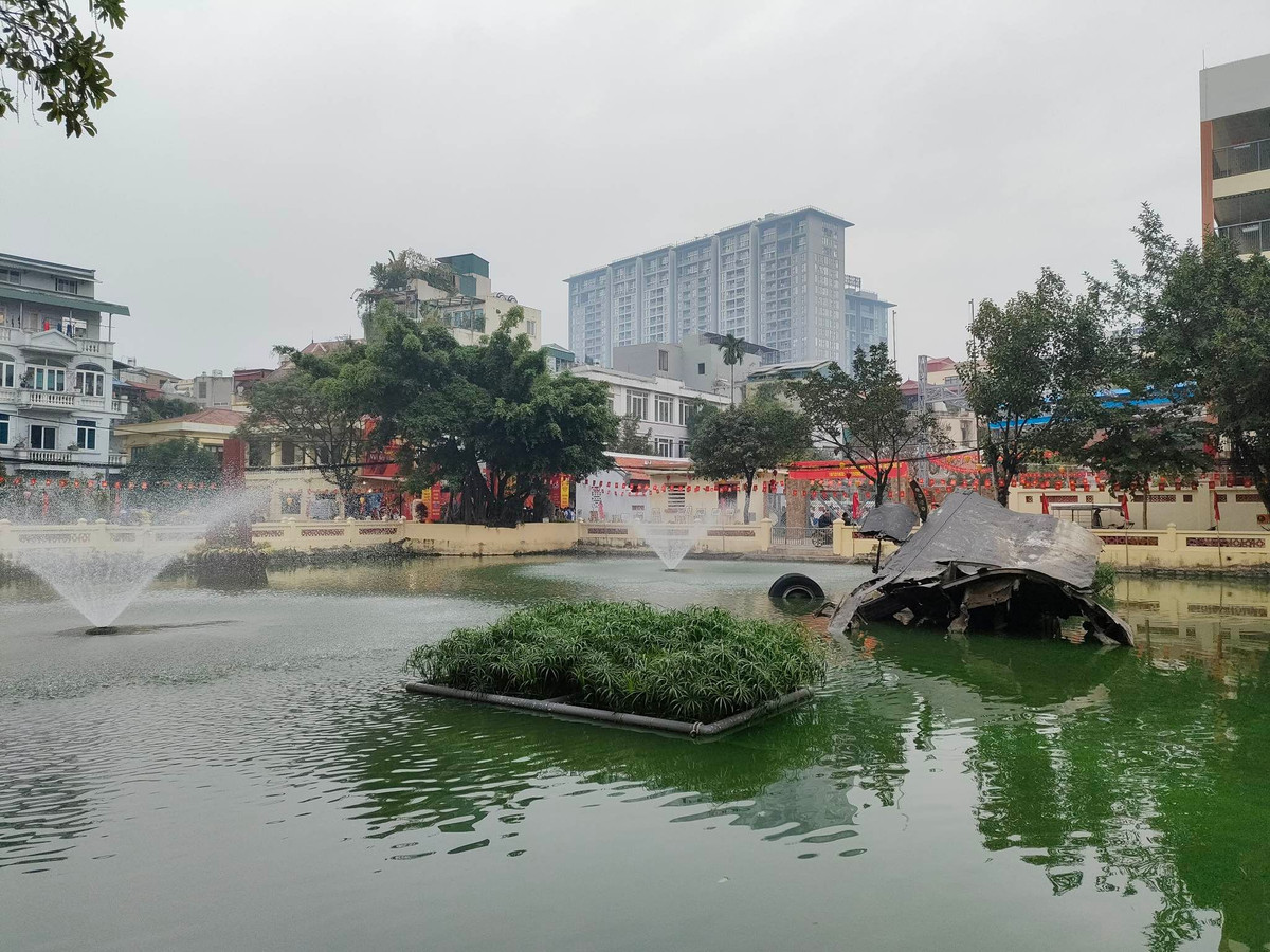 Đơn vị bắn chiếc B-52 rơi xuống làng hoa Ngọc Hà là Tiểu đoàn 72, Trung đoàn 285 thuộc Đoàn Phòng không Hải Phòng. Ngày 22/12/1972, Tiểu đoàn 72 đang chiến đấu bảo vệ Hải Phòng thì nhận được lệnh lên tăng cường cho Hà Nội.