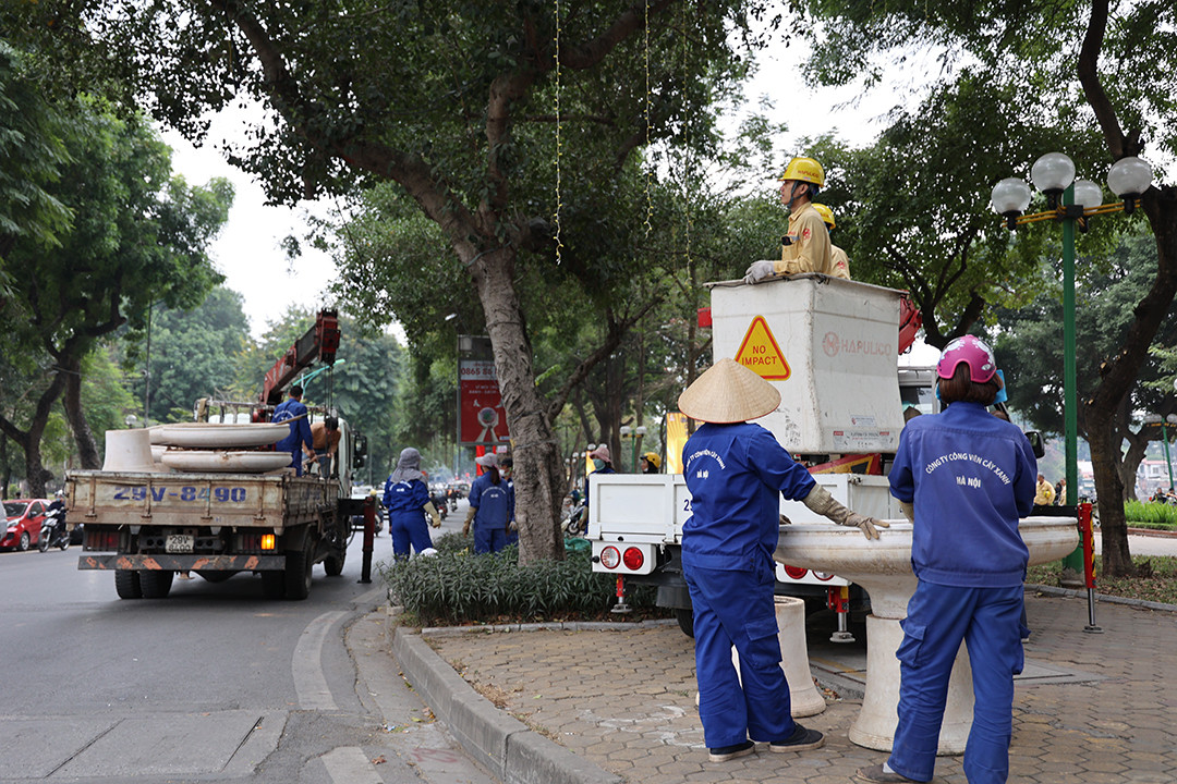 Hệ thống cây xanh đang được cắt tỉa gọn gàng, phòng tránh đổ gãy. 