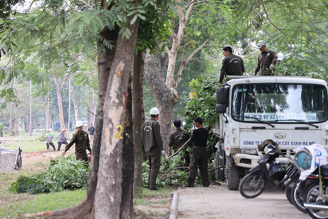 Không gian được chỉnh trang. 