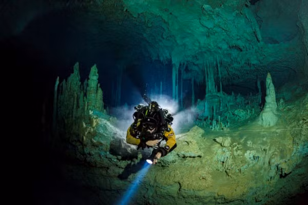 Theo các chuyên gia, hang Hoyo Negro giống như một cái bẫy đối với các động vật ở kỷ băng hà 13.000 năm trước. Các loài động vật bao gồm: sư tử núi và heo vòi, cũng như một số loài đã tuyệt chủng khác như hổ răng kiếm, gấu mặt ngắn và voi răng mấu và một loài lười đất khổng lồ chưa từng được biết đến trước đây. Rất có thể trong kỷ băng hà trước kia, khi mặt nước biển thấp hơn, những con vật trên đã thoải mái đi dọc các đường hầm này trước khi chết trong Hố Đen.