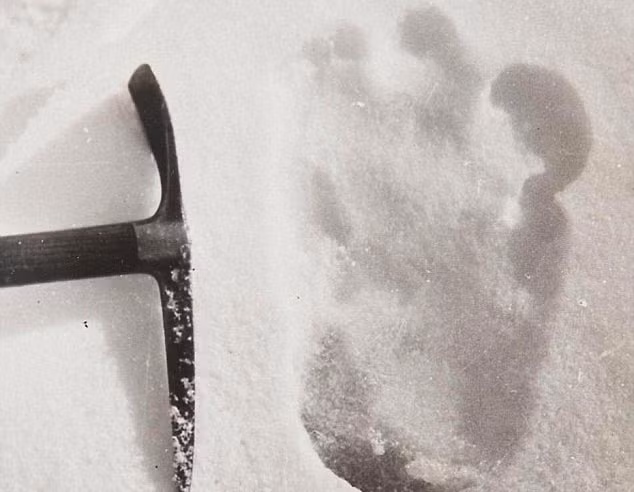 Trong suốt nhiều thập kỷ qua, một số người đã "chạm trán" "Người tuyết". Thậm chí, nhà leo núi Anh Eric Shipton từng gây chú ý khi chụp được dấu chân của "Người tuyết năm 1951.