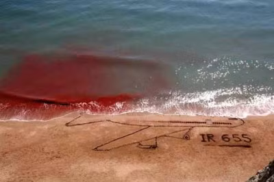 Theo các báo cáo, chiếc máy bay chở khách A300 của Iran Air đi vào không phận một cuộc xung đột hải quân ở Eo biển Hormuz. Khi ấy, tên lửa đất đối không SM-2 của Mỹ bắn hạ máy bay của Iran.