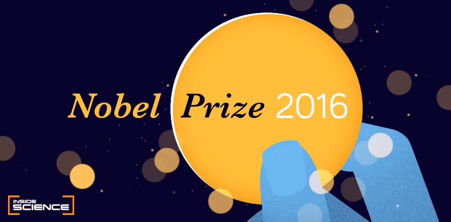 Năm 2016 là năm có tới 376 ứng viên được đề cử cho giải Nobel Hòa bình. Đây là năm có số lượng ứng viên nhiều nhất tranh giải Nobel Hòa bình trong lịch sử.