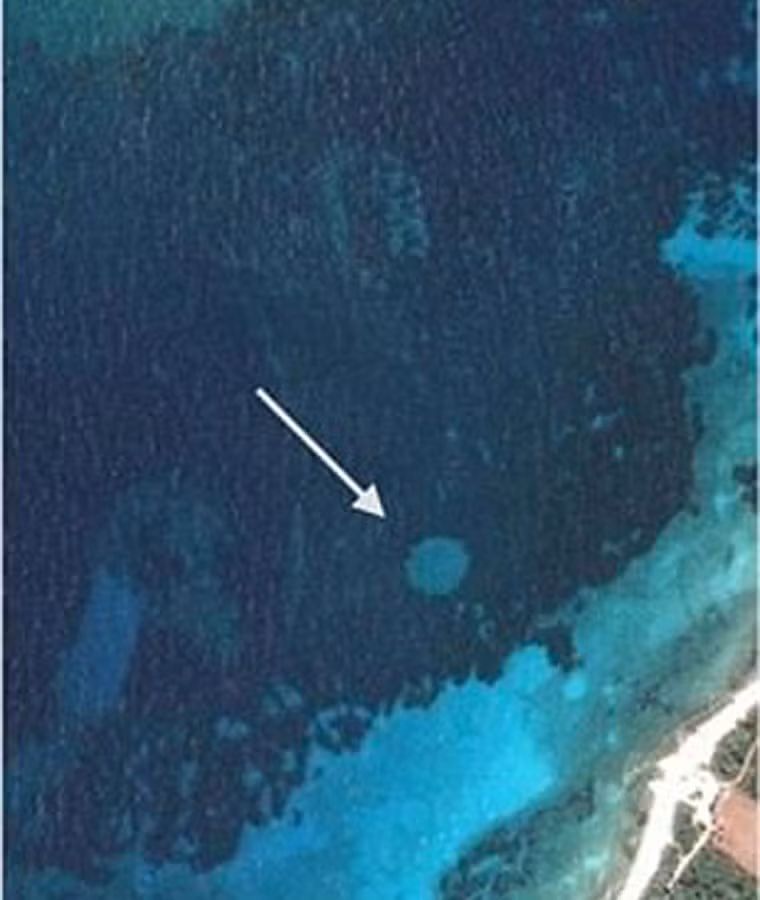 "Cảnh quan thực vật dưới biển là yếu tố để đo sức khỏe hệ sinh thái biển. Việc các vùng biển xuất hiện các vòng tròn thần tiên trên cho thấy nước biển đang bị đe dọa nghiêm trọng. Nếu không có các biện pháp kịp thời thì hệ sinh thái sẽ có nguy cơ tuyệt chủng", nhà nghiên cứu Daniel Ruiz-Reynés nhận định trong cuốn sách "Fairy Circle Landscapes Under The Sea”.