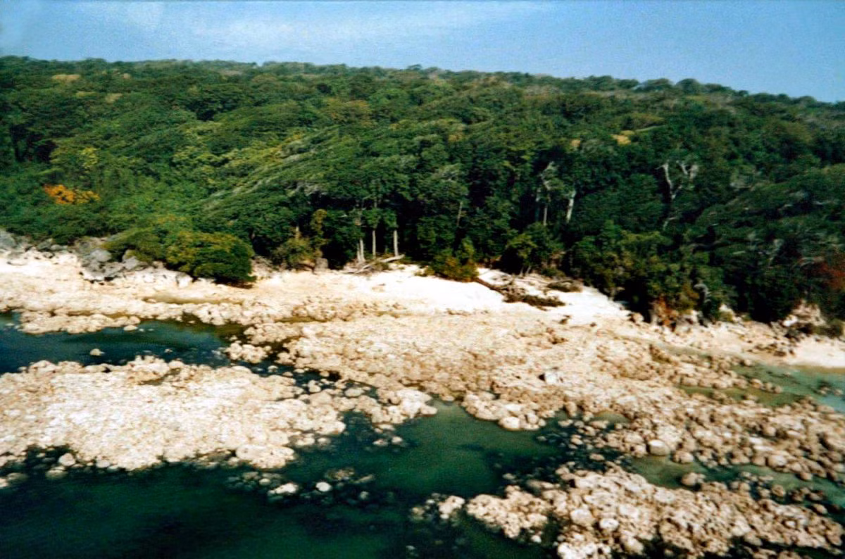 Một sự thật bất ngờ là trận sóng thần khủng khiếp xảy ra ngày 26/12/2004 không thể "xóa sổ" bộ lạc Sentinel. Ba ngày sau thảm họa thiên nhiên trên, những thổ dân này bắn tên và ném đá về phía trực thăng của chính phủ Ấn Độ khi tới đảo North Sentinel để khảo sát ảnh hưởng của sóng thần.