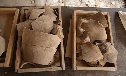 Các nhà nghiên cứu phát hiện hạt nho, vây cá, xương và đồ gốm cùng với nhiều đồ tạo tác khác trong quá trình khai quật thành phố David. Những bằng chứng này hé lộ việc người Babylon thiêu rụi Jerusalem 2.600 năm trước.