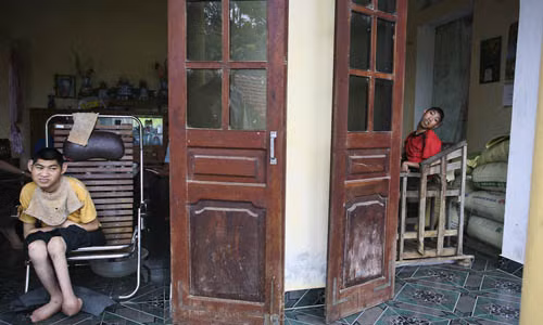 Hai anh em Nguyen và Hung Vuong Pham, ở Hải Phòng, sinh ra với cơ thể không lành lặn do ảnh hưởng của chất độc da cam. Hàng ngày, họ ngồi trên ghế và nhìn hướng ra cửa, tò mò về cuộc sống bên ngoài.