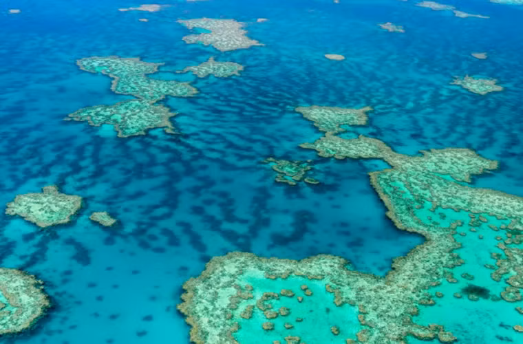 Great Barrier là rạn san hô lớn nhất và đẹp nhất thế giới hiện nay.