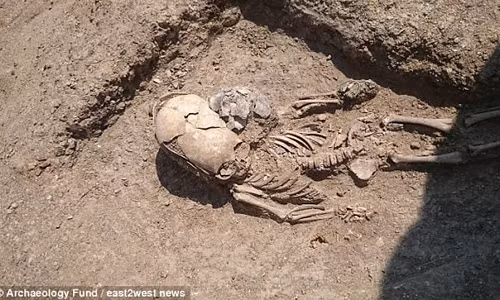 Các chuyên gia cho hay tục làm méo xương sọ là một kiểu điều chỉnh cơ thể, khá phổ biến ở nhiều nền văn minh cổ đại. Tập tục kỳ lạ này thường được áp dụng đối với trẻ sơ sinh bởi khi ấy hộp sọ khá mềm. Tuy nhiên, một số người theo thuyết âm mưu cho rằng chủ nhân của những hộp sọ kéo dài có thể là lai giữa con người và người ngoài hành tinh.