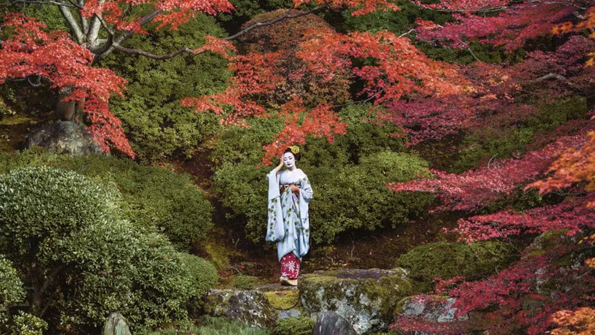 Geisha là các kỹ nữ chuyên nghiệp được thuê để tương tác với khách hàng trong bữa tối hoặc các dịp khác. Có một số cách đơn giản để phân biệt maiko và geisha. Maiko có những phụ kiện như hoa cài tóc trong khi geisha thì không. Maiko thường đi guốc gỗ đế cao trong khi geisha đi dép đế bằng được gọi là zori. Ngoài ra, đai trên trang phục kimono của họ cũng khác biệt.