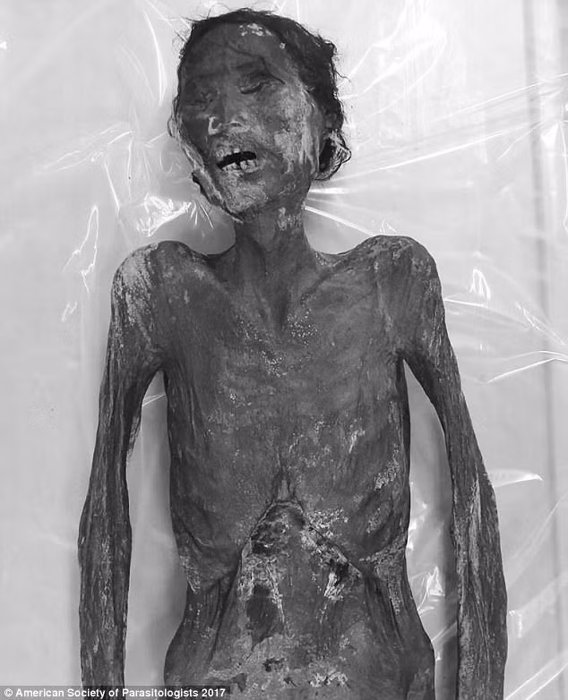 Phat hien bat ngo ve xac uop 375 tuoi o Han Quoc