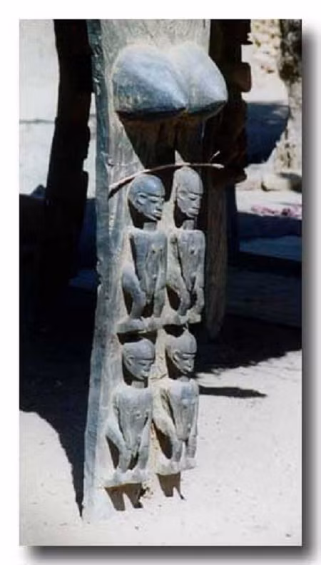 Rất nhiều giả thuyết được đưa ra để lý giải sự hiểu biết kỳ lạ của người Dogon, đặc biệt là về thiên văn học. Tuy nhiên, cho đến này không có giả thuyết nào được mọi người hoàn toàn công nhận.