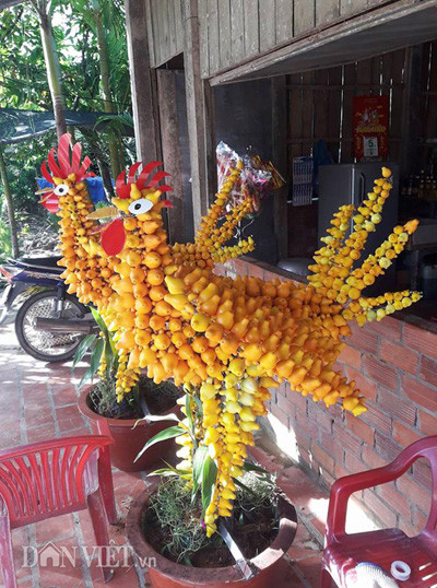 Sau nhiều tháng kỳ công cắt, uốn, tỉa, gia đình anh Mạnh ở tỉnh Tiền Giang chính thức đưa cây trái dư hình Đinh Dậu ra thị trường bán Tết. Anh Mạnh cho biết, do mô hình trên làm khá khó khăn, công phu nên năm nay gia đình anh mới làm thử nghiệm đưa ra thị trường 4 cây trái dư hình Đinh Dậu, trị giá 5 triệu đồng/cây. (Ảnh: Hải Đăng/ Dân Việt).