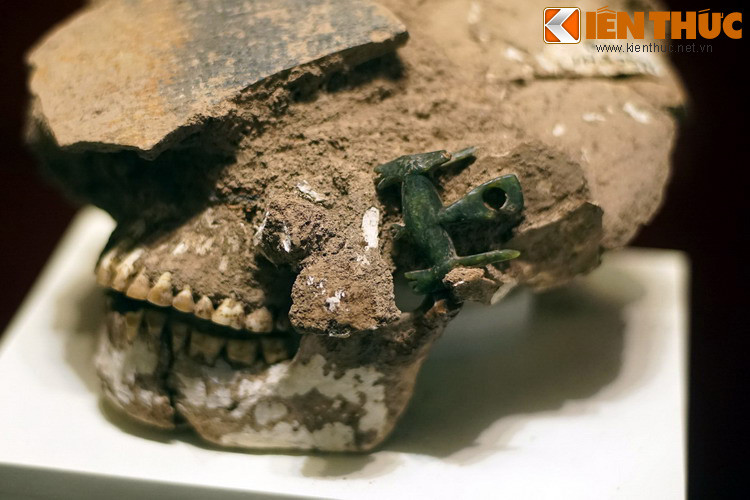 Hộp sọ và khuyên tai hai đầu thú, văn hóa Đồng Nai. Đồ trang sức là loại hình cổ vật tinh xảo nhất của văn hóa Đồng Nai, thể hiện con mắt thẩm mỹ, trình độ chế tác cũng như sự phân tầng xã hội của cư dân nền văn hóa này.