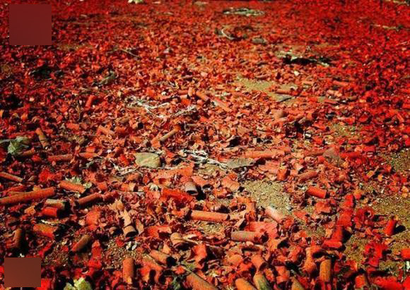 Sáng mùng 1, phía trước các hiên nhà ngập tràn xác pháo. Đi nhặt những quả pháo chưa nổ là thú vui của nhiều trẻ em.