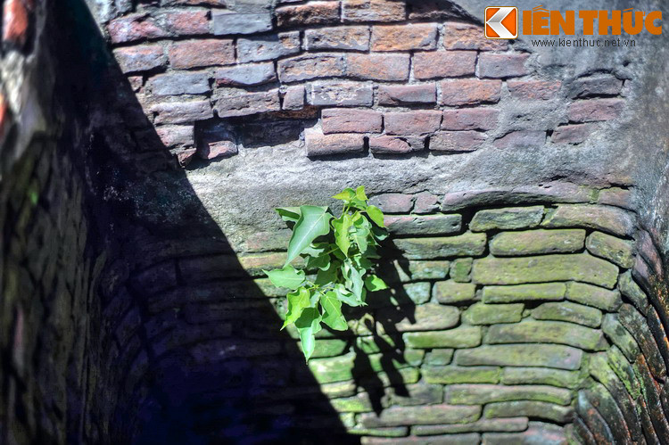 Dù thành giếng đã được xây mới, sâu trong lòng giếng vẫn là những lớp gạch Chăm cổ liên kết với nhau một cách chắc chắn mà không dùng vôi vữa. Dưới chân giếng là khung gỗ lim rộng bản, tồn tại cả ngàn năm nay.