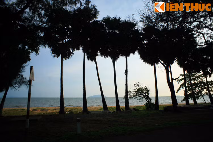 Đặc biệt, người xưa dùng lá thốt nốt già làm một loại giấy viết có thể để được rất lâu. Các nhà sư còn viết kinh Phật trên lá thốt nốt, sau đó lấy từng lá xâu lại thành một thiên (1.000 lá), gọi là kinh lá bối.