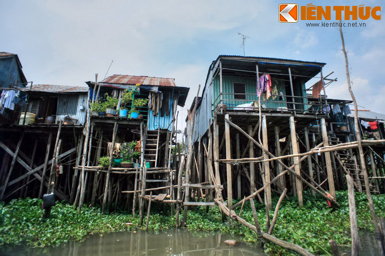 Nhiều ngôi nhà sàn được chống đỡ bằng bằng vô số cột gỗ, tạo nên cảnh tượng lộn xộn nhưng lạ mắt.